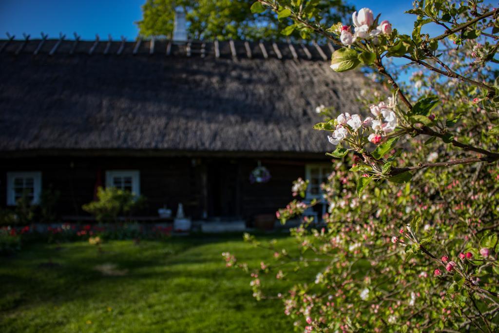 Villa Kuusetuka Tourism Farm Pahkla Esterno foto